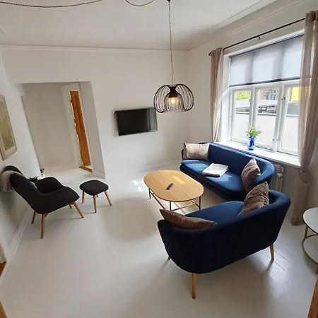 Lux Bourgeois With Free Parking Aalbor