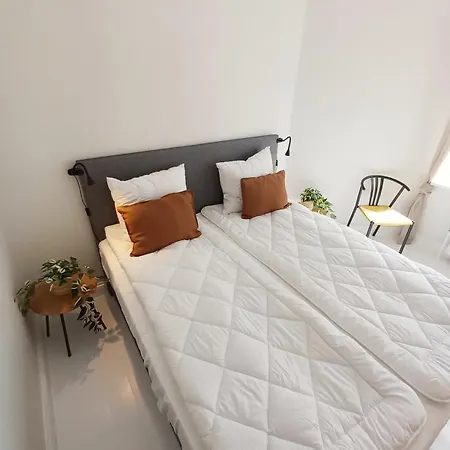 Lux Bourgeois With Free Parking * Aalborg